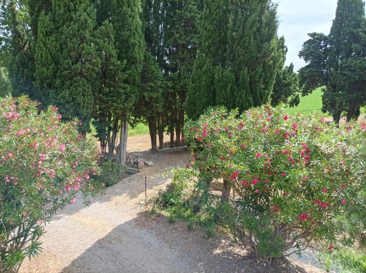 Domaine Le Piboul Villa Fontcouverte  Eksteriør bilde